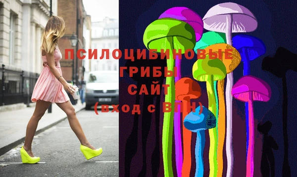 дурь Медвежьегорск